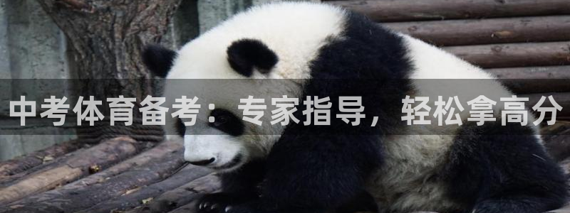 尊龙信息科技有限公司：中考体育备考：专家指导，轻松拿