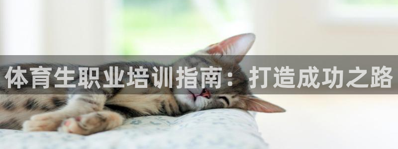 尊龙 5