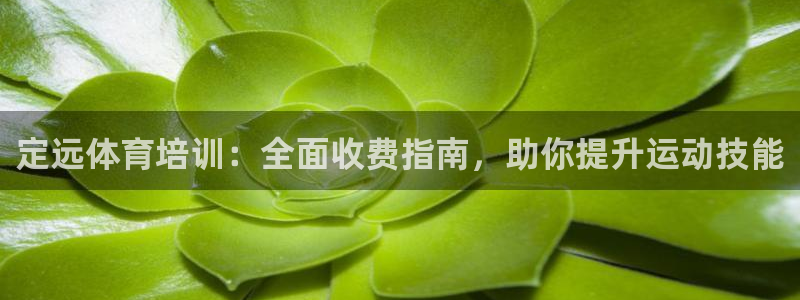凯时平台官网RA来就送38：定远体育培训：全面收费指南，助你