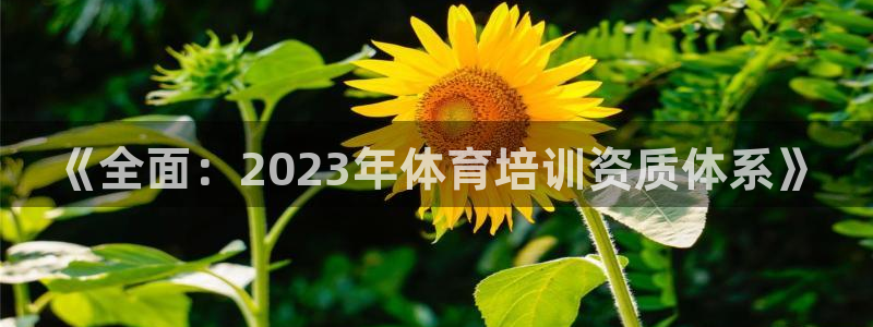 z6尊龙凯时旗
